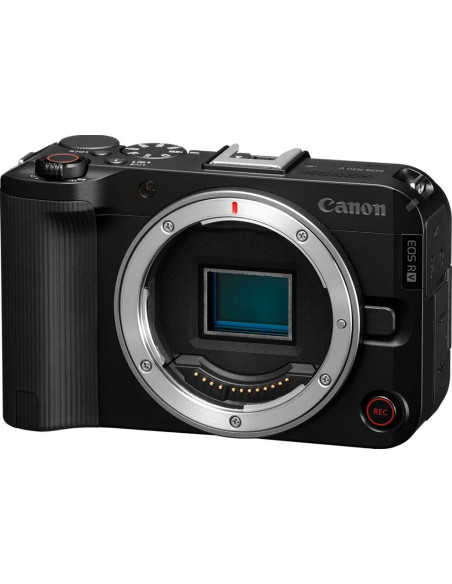 R50 V + RF-S 14-30mm f/4-6.3 IS STM PZ